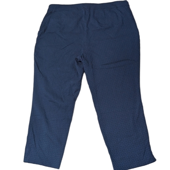 Cynthia Rowley Womens Capri Pants Elastic Waist High Rise Chevron Plus Size 18W - Picture 5 of 9